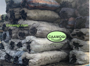 Keriñou Tamba (charbon de tamba)