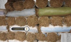 IMG-20210122-WA0002 FOIN D'ARACHIDE