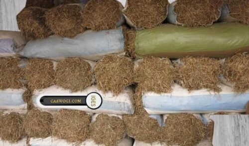 IMG-20210122-WA0002 FOIN D'ARACHIDE