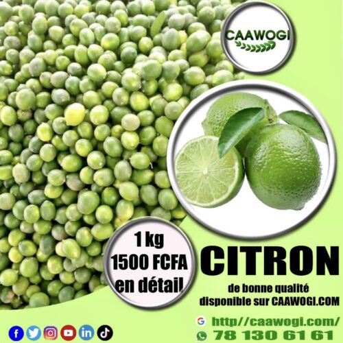 93A35ECB-1B66-4781-AE35-DED5744B86FB Citron vert (Lime)