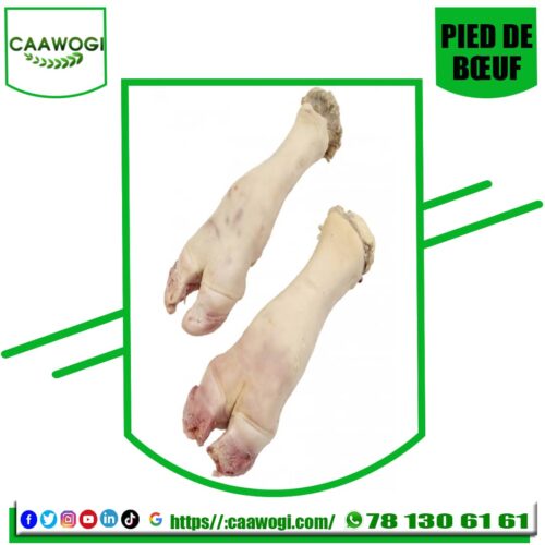 WhatsApp Image 2021-05-07 at 14.27.26 PIED DE BŒUF