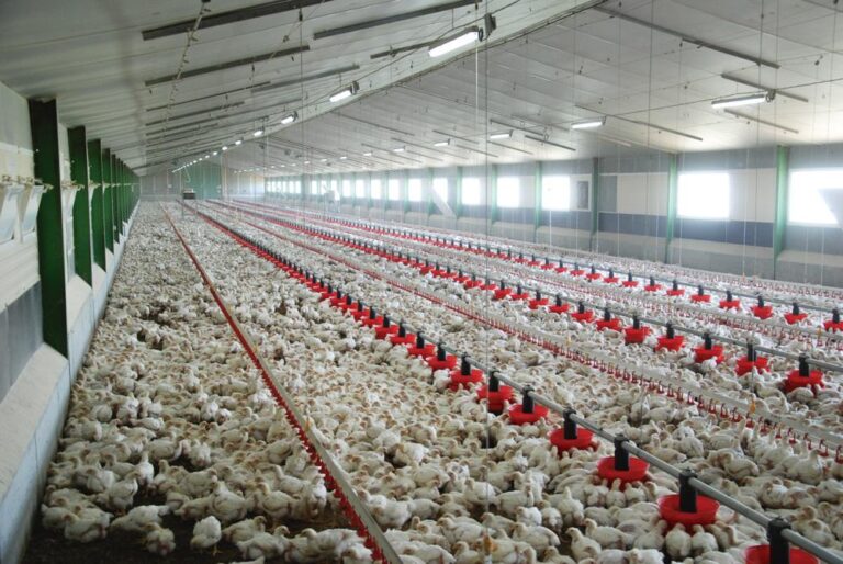 WhatsApp Image 2021 05 10 At 13.28.57 768x514