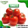 TOMATE