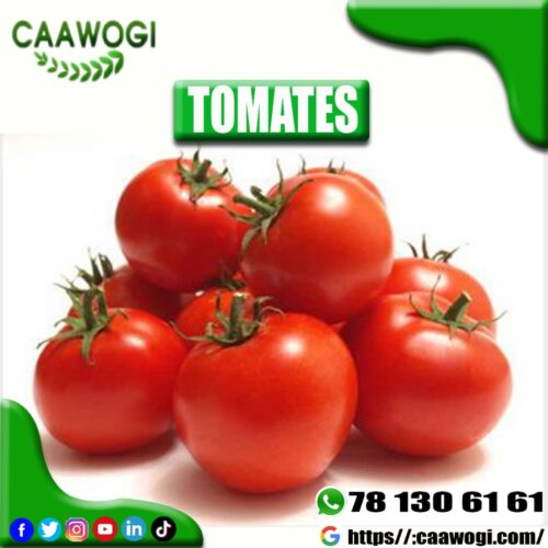 WhatsApp Image 2021-06-03 at 21.56.33 TOMATE