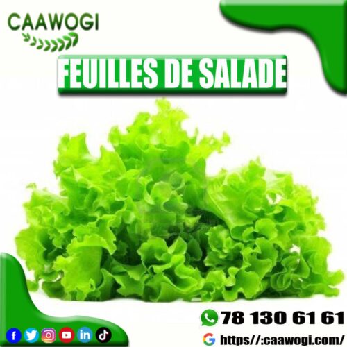 WhatsApp Image 2021-06-04 at 17.13.05 LES SALADES