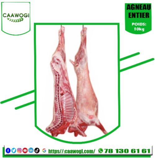 WhatsApp Image 2021-07-01 at 13.21.52 (1) Agneau 10 kg