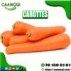 Carotte