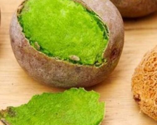 IMG-20211221-WA0037 Ditakh