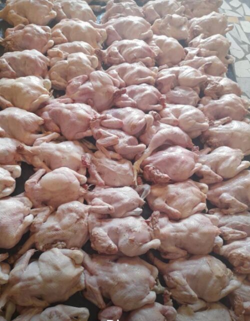 IMG-20220630-WA0003 Poulet de chair