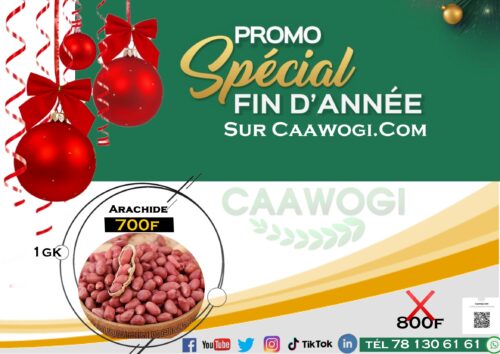 crens tire021 045540215100845 Graine d'arachide