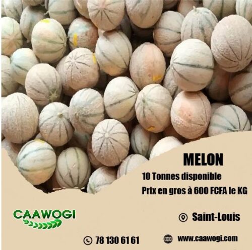 MELON MELON
