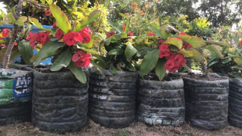 IMG-20220422-WA0013 Ebin