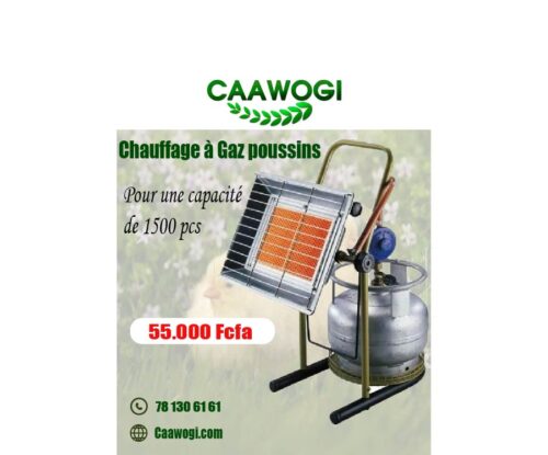 Chauffage-poussins chauffage