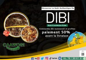dibi