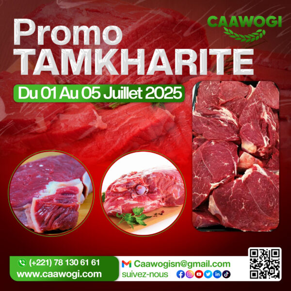 Promo Tamkharite