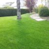 gazon naturel de qualité